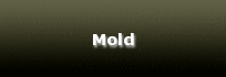 Mold