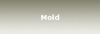 Mold